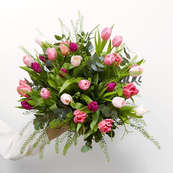 De enestående tulipaner